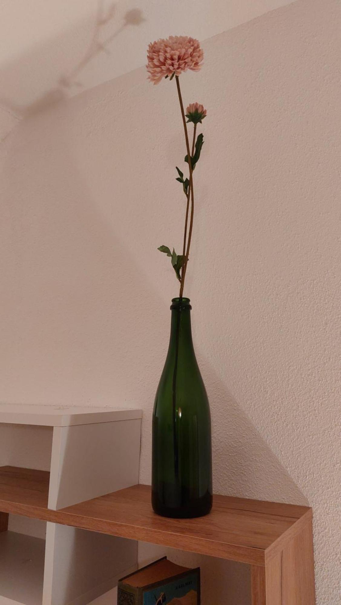 Bauer Haug Apartment ดีทมานน์สรีด ห้อง รูปภาพ